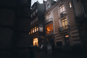 Vétérinaire de garde Rennes